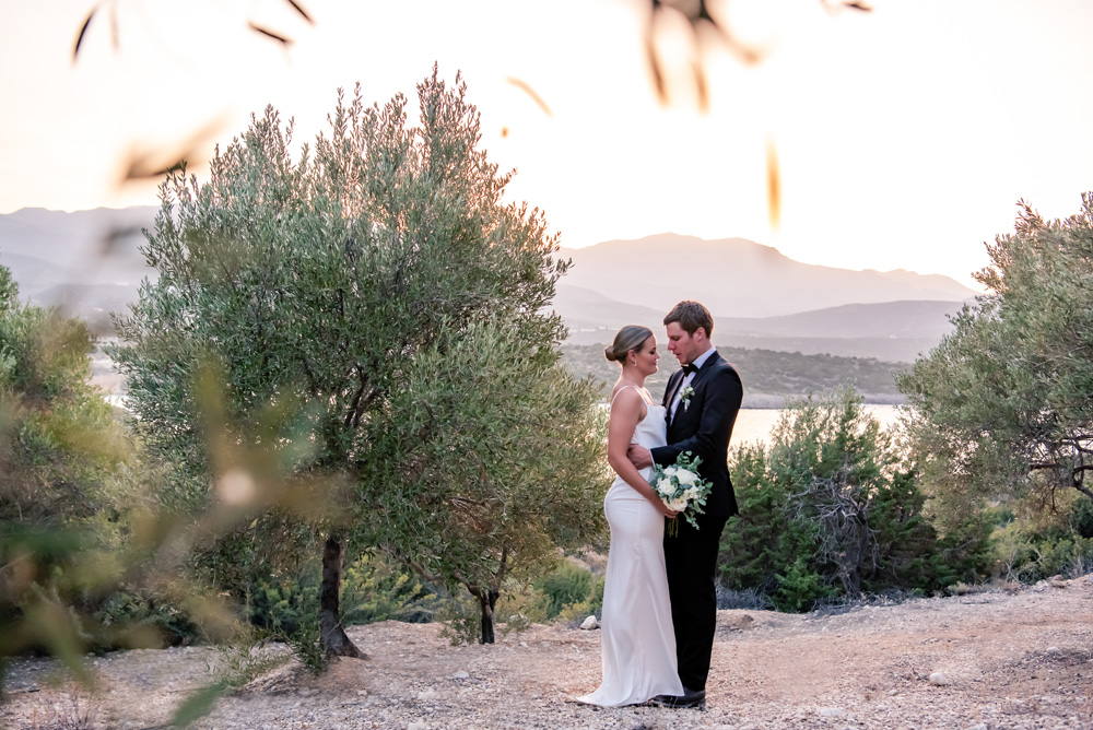 wedding in Crete-3330-050 A great setting in the olive tree for a wedding ceremony