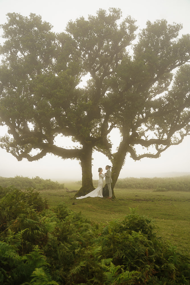 Elopement in Love Session in Fanal Forest Madeira, Portugal – 022 Love Session in Fanal Forest